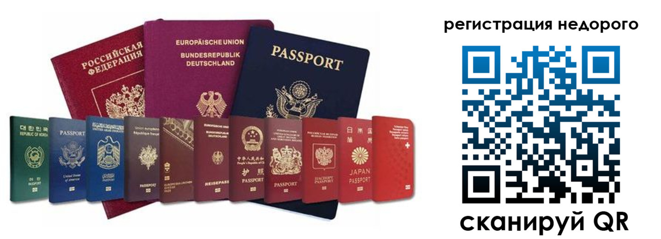 прописка гарантия в Новозыбкове
